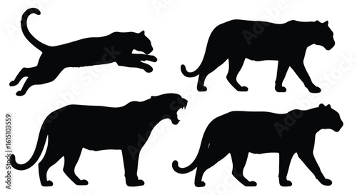 Vector silhouette illustration silhouettes of panthers in various dynamic poses, showcasing their powerful and agile nature