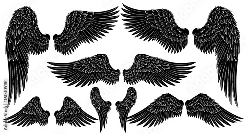 set of wings. Collection of intricately detailed black angel wings in various sizes and poses presented as a silhouette isolated on transparent background