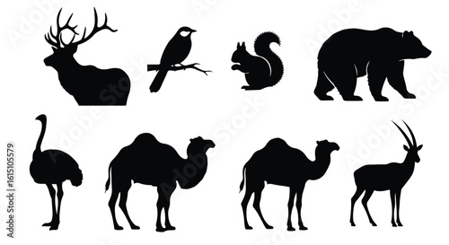 Vector silhouette illustration a collection of animal silhouettes including a bird on a branch, a squirrel, and two camels on a white background