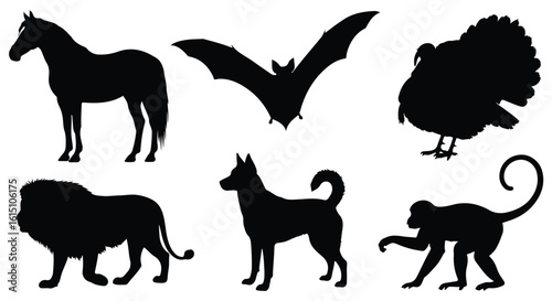 Vector silhouette illustration a collection of animal silhouettes including a bat, dog, and lion