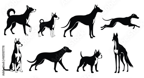 Vector silhouette illustration a collection of dog silhouettes showcasing various breeds against a white background