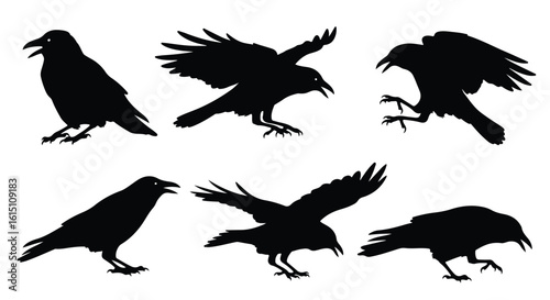 Silhouette vector set silhouettes of crows in flight showcase their spread wings and dynamic movement against a white background