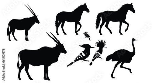 Vector silhouette illustration a collection of animal silhouettes including horses, birds, and an oryx isolated on a white background