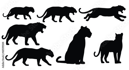 Vector silhouette illustration silhouettes of powerful big cats, showcasing a variety of poses and species like panthers and jaguars