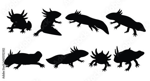 Silhouette vector set a series of black axolotl silhouettes showcasing their unique body shapes and features