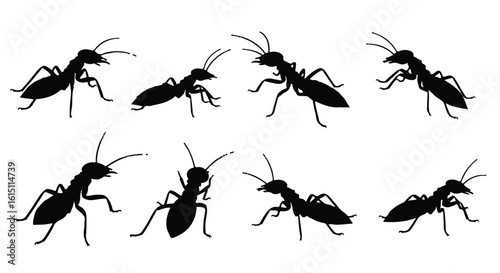 Silhouette vector set four black ant silhouettes are arranged in a dynamic composition against a plain white background