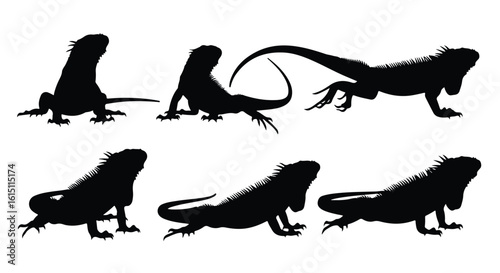 Silhouette vector set a collection of black iguana silhouettes in various poses on a white background