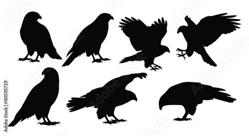 Silhouette vector set a collection of black eagle and hawk silhouettes in various poses, showcasing their predatory nature and grace