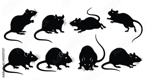 Silhouette vector set four black rat silhouettes are displayed in various poses against a white background