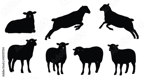 Silhouette vector set a collection of black sheep silhouettes in various poses, including standing, jumping, and grazing