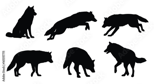 Silhouette vector set a pack of wolves in silhouette, captured in dynamic motion as they run, jump, and crouch