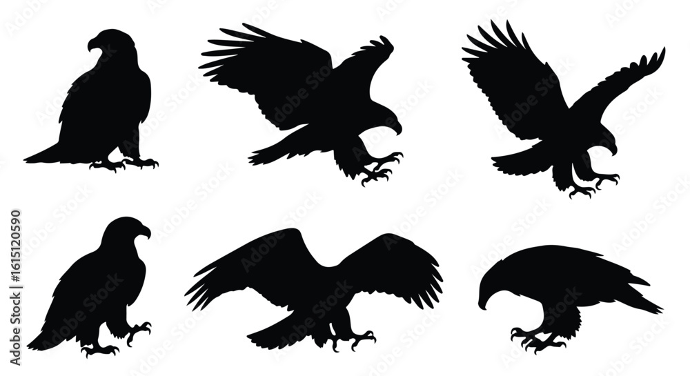 Obraz premium Silhouette vector set a collection of black eagle silhouettes in various dynamic flight poses, showcasing their powerful wings and talons