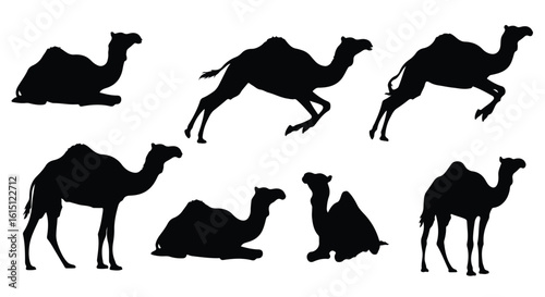 Silhouette vector set a collection of black camel silhouettes in various poses on a white background