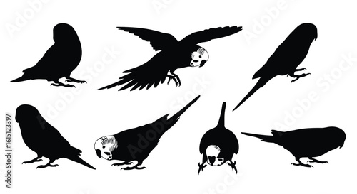 Silhouette vector set a collection of black parrot silhouettes in various poses, including flight and perched