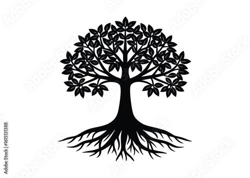 Mangrove tree silhouette black vector white background