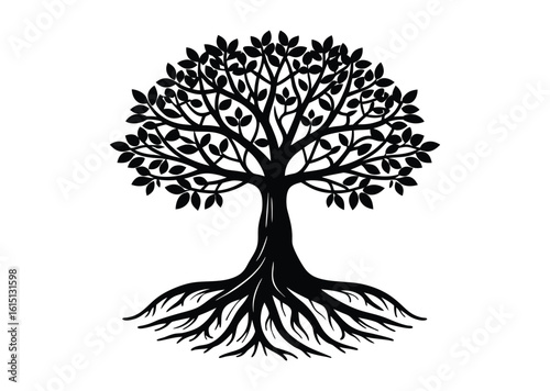 Mangrove tree silhouette black vector white background