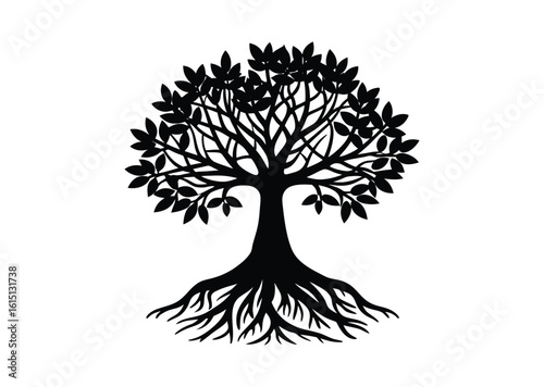 Mangrove tree silhouette black vector white background
