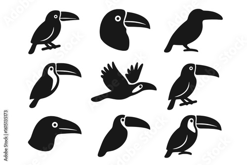 Toucan silhouette icon set. exotic bird collection, wildlife, nature silhouettes