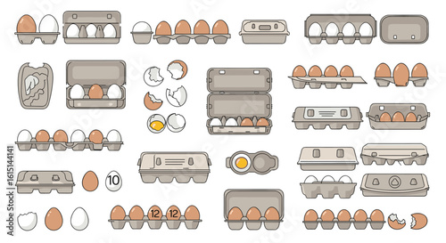 A comprehensive collection of various egg cartons and individual eggs showcasing diverse packaging and contents