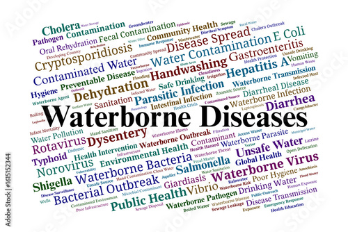 Canvas-taulu Waterborne Diseases Word Cloud