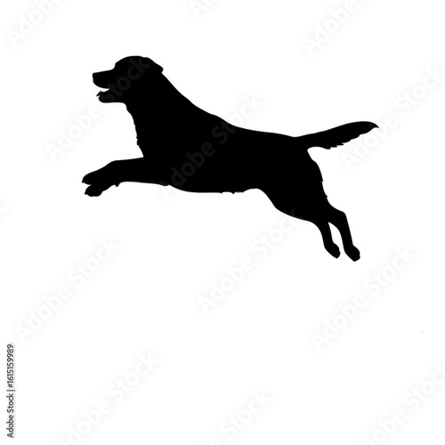 Black silhouette of a labrador retriever jumping isolated on transparent background
