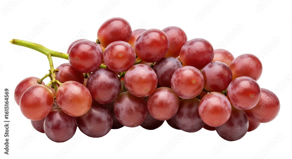 Fototapeta premium Isolated Red Grapes