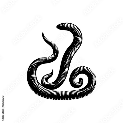 Two worms curl and twist, isolated on white background