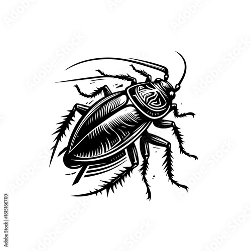A detailed illustration of a cockroach with many legs