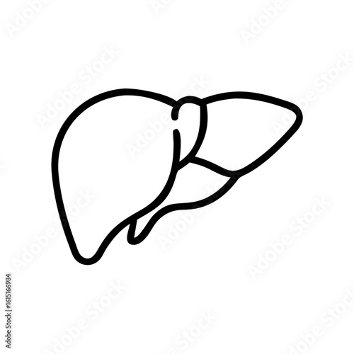 Outline of human liver in minimal style on a transparent background