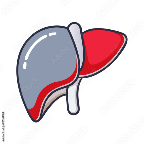 Anatomically accurate illustration of a human liver in vibrant colors  