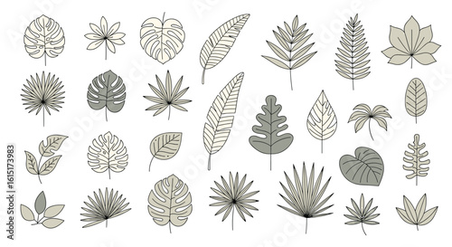 Collection of stylized minimalist botanical illustrations featuring various plants and leaves in a top down view
