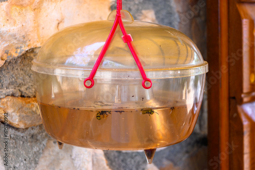 A wasp trap hanging near a house in the garden