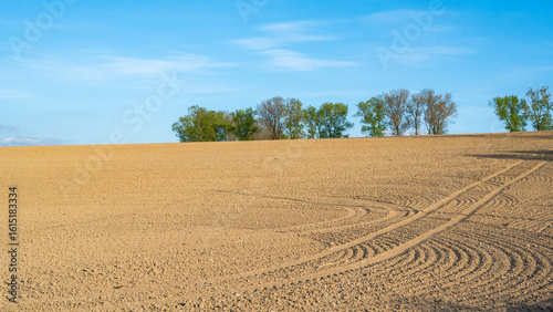 Fototapeta Naklejka Na Ścianę i Meble -  Zaorane Pole Uprawne Wczesną Wiosną W Miejscowości Lipowa Z Drzewami Na Tle Nieba