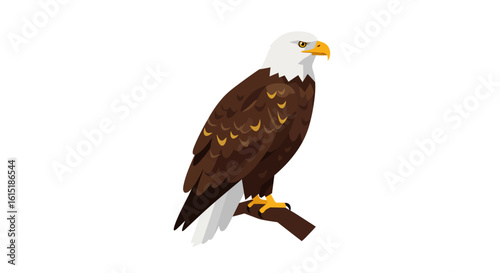 Bald Eagle Perched on Branch Vector - American Bird of Prey Flat Icon