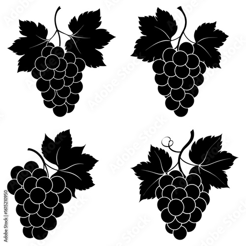 Four bunches of grapes with leaves in black and white vector illustration for graphic design needs