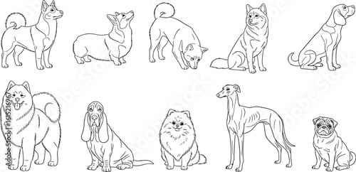 CAD Drawings. Set dogs outlines isolated on white background. Sitting, walking. Top view. Vector illustration