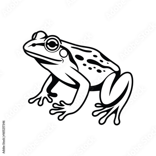 Minimalist black and white frog line art. Isolated amphibian graphic vector illustration, simple logo icon concept on white background.