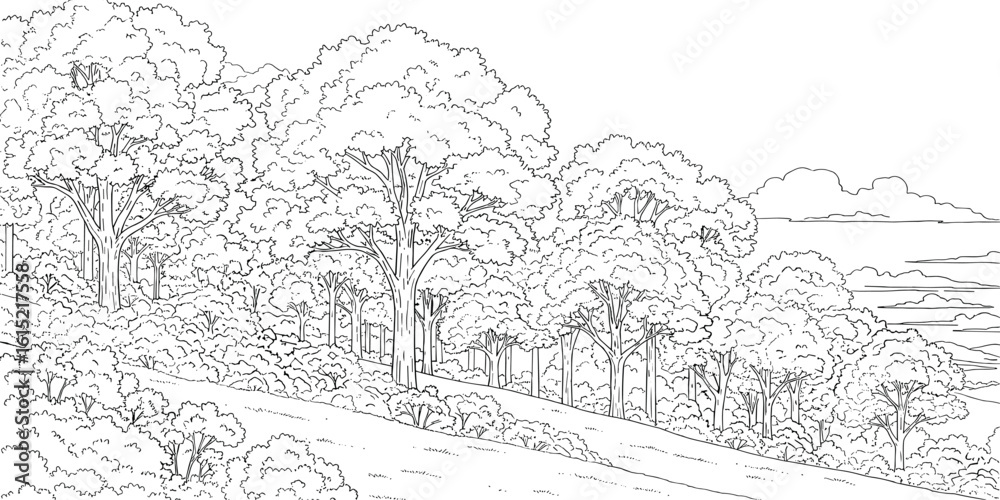 Fototapeta premium Cad tree line minimal style, set of graphics trees elements outline symbol for architecture and landscape design drawing. Vector illustration.