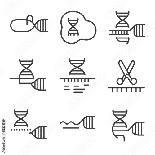Prime Editing Icons. Line style icons of Prime Editing System: prime editor fusion, reverse transcriptase domain, pegRNA design,