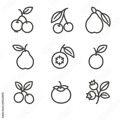 Orchard Foraging Icons. Line style icons of Orchard Edge Foraging: crabapple, wild cherry, wild plum, quince, medlar, beach plum,