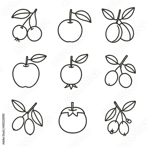 Orchard Foraging Icons. Line style icons of Orchard Edge Foraging: crabapple, wild cherry, wild plum, quince, medlar, beach plum,