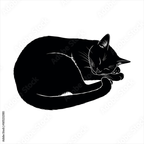 A striking black cat silhouette a classic feline form isolated on white background