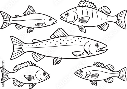 Collection of hand drawn fish illustrations isolated on white background