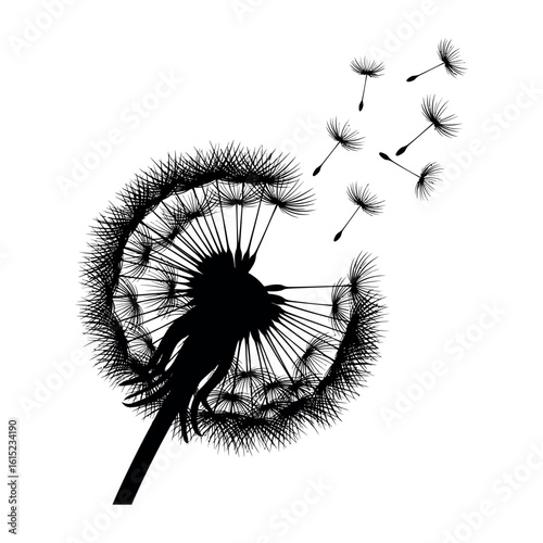 Stylized dandelion silhouette with seeds blowing in the wind isolated on white background