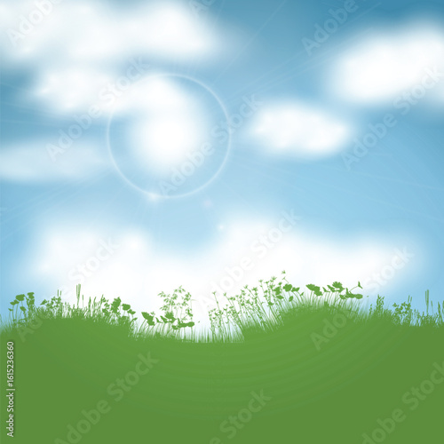 Sunny landscape