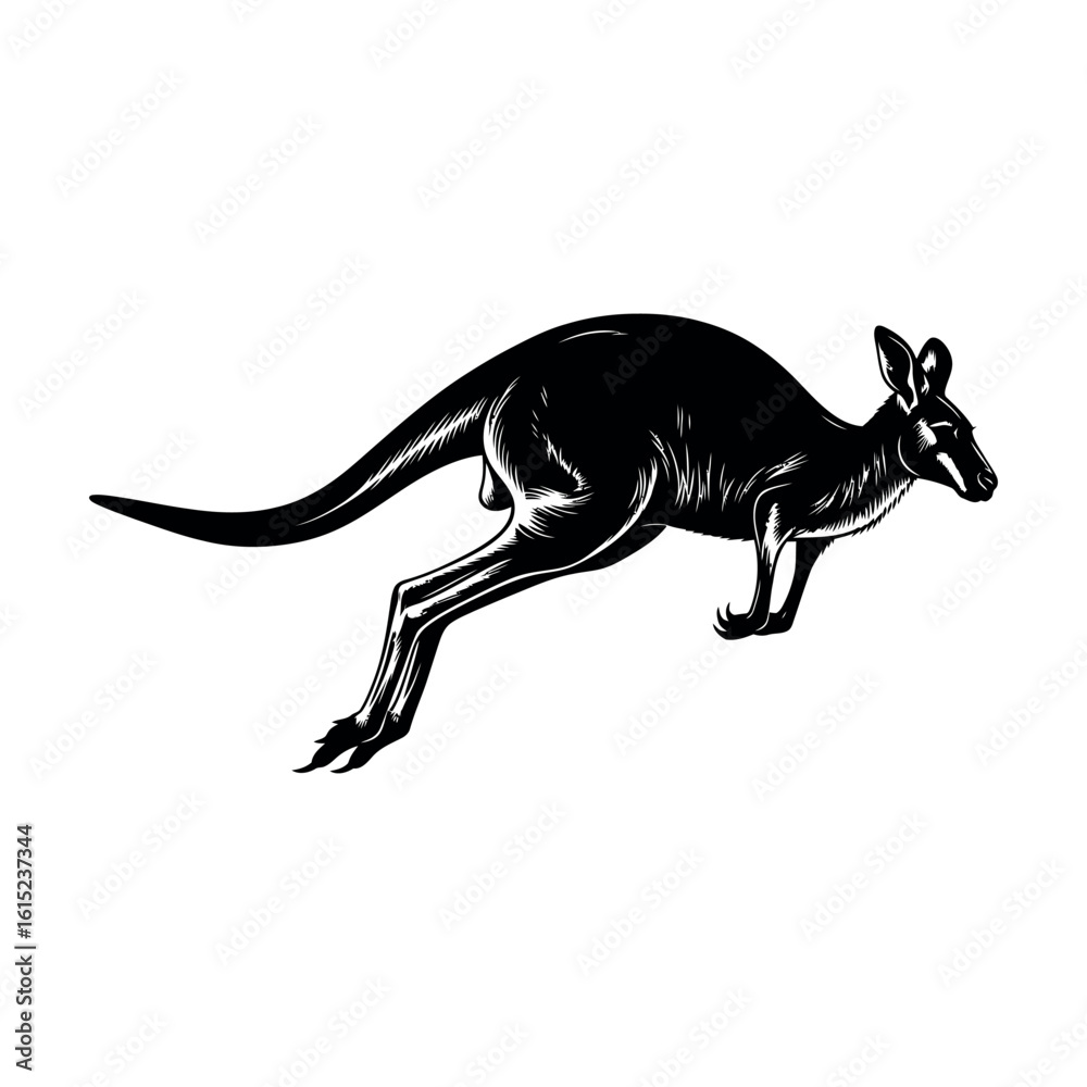 Fototapeta premium Joyful kangaroo leaping through the air silhouette isolated on white background