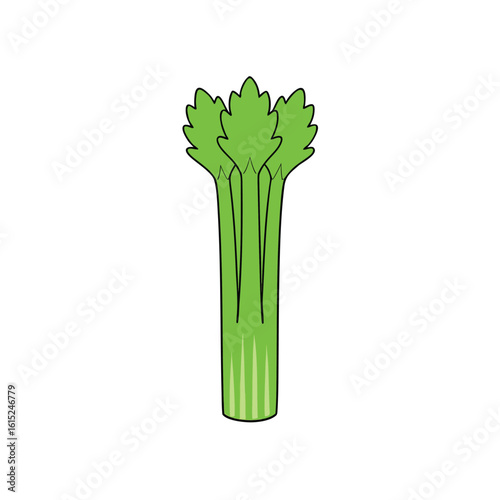broccoli isolated on white background