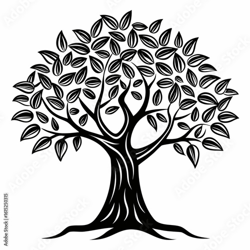 olive tree vector outline with roots