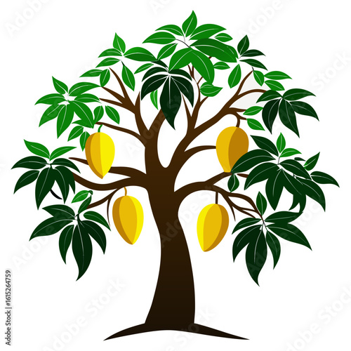 Mango tree vector illustration