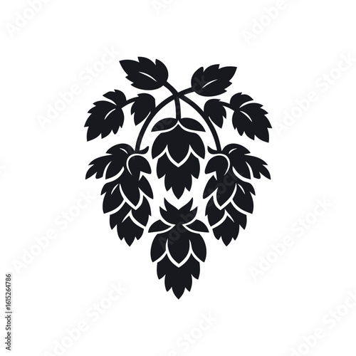 Hops plant illustration in black silhouette on white background  